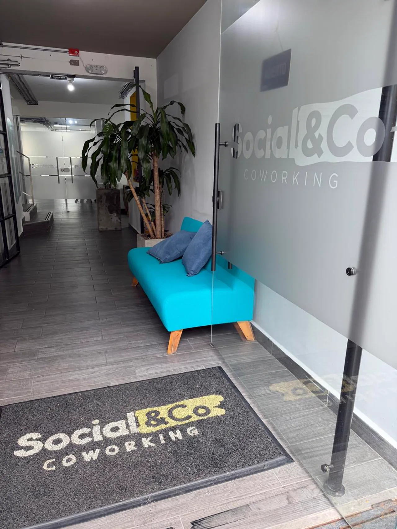 Recepción de Social Co